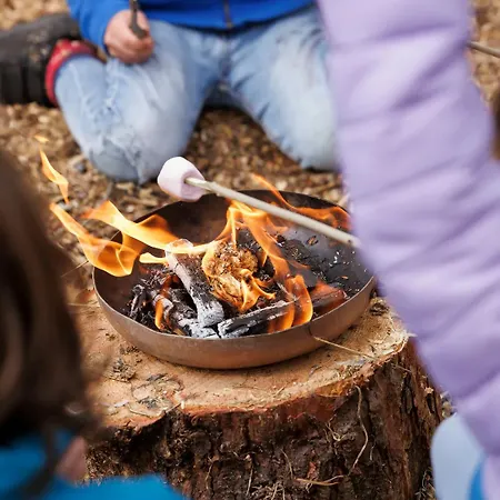 منتزه العطل Forest - Forest Holidays Cropton