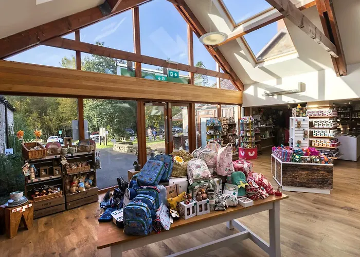 פארק נופש Forest - Forest Holidays