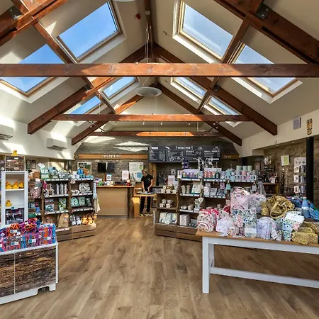 Holiday park Forest - Forest Holidays