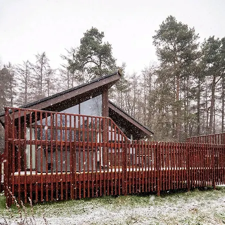 Forest - Forest Holidays Tatil parkı *