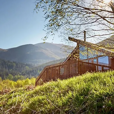 Forest - Forest Holidays Tatil parkı