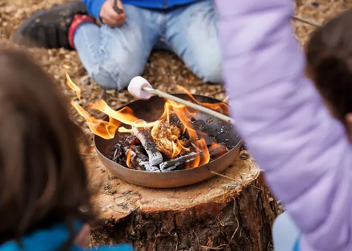 Holiday park Forest - Forest Holidays Cropton