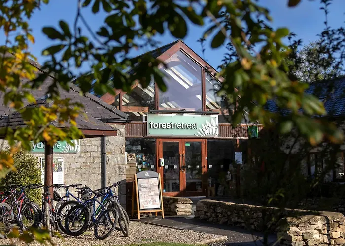 Forest - Forest Holidays Holiday park