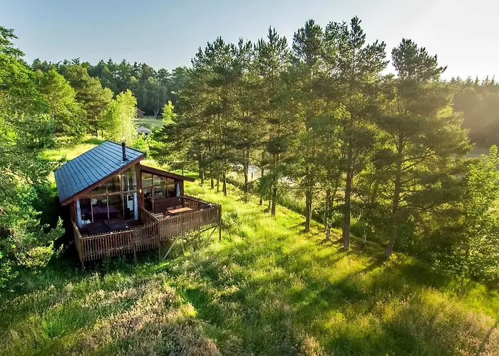 Forest - Forest Holidays * Cropton