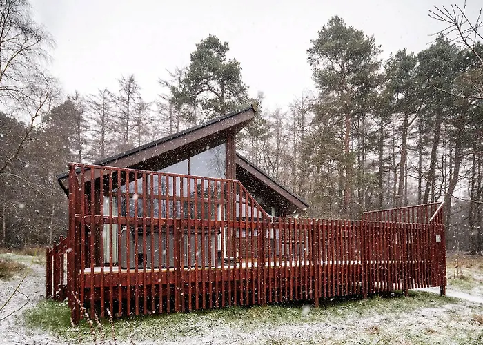 Forest - Forest Holidays Holiday park *