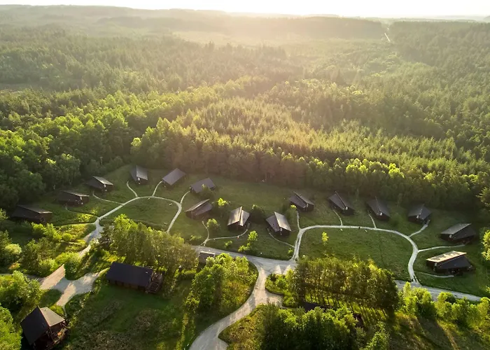 Forest - Forest Holidays Holiday park