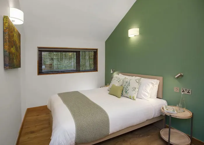 Holiday park Forest - Forest Holidays