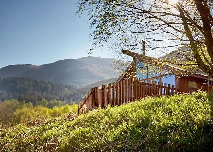 Forest - Forest Holidays Holiday park