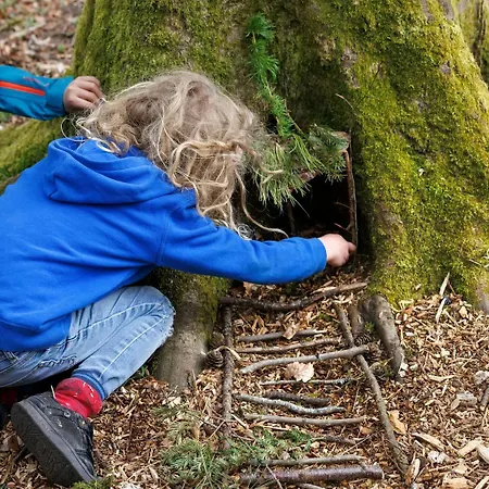 Forest - Forest Holidays