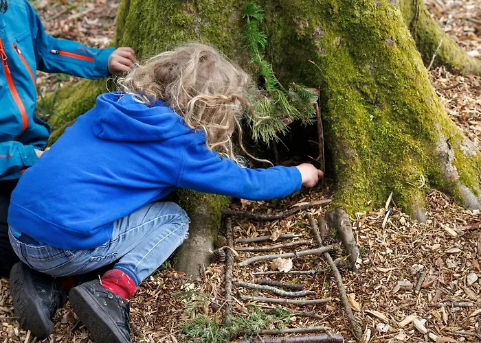 Forest - Forest Holidays