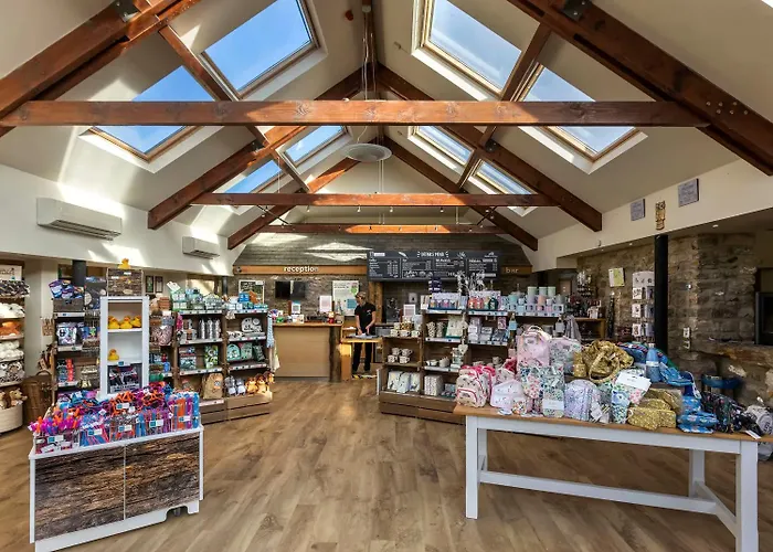 Üdülőpark Forest - Forest Holidays